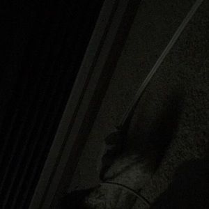 Meet your Posher, Marcia